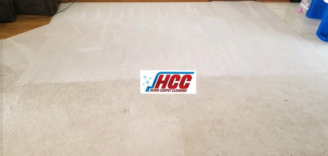 Before and after — Heavy Traffic & Pet Stain Removal