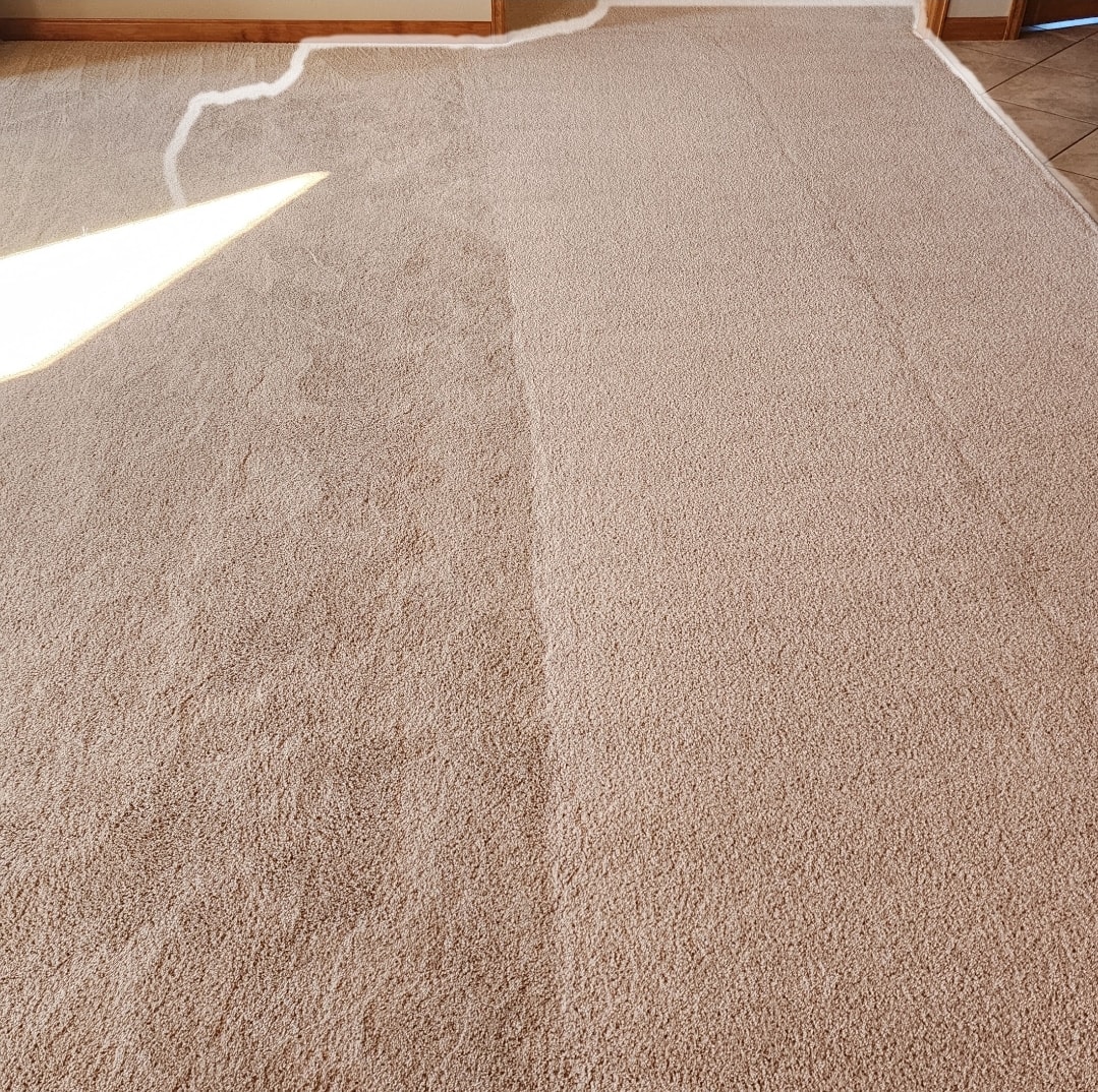 Before and after — In-Progress Deep Clean — Repeat Client