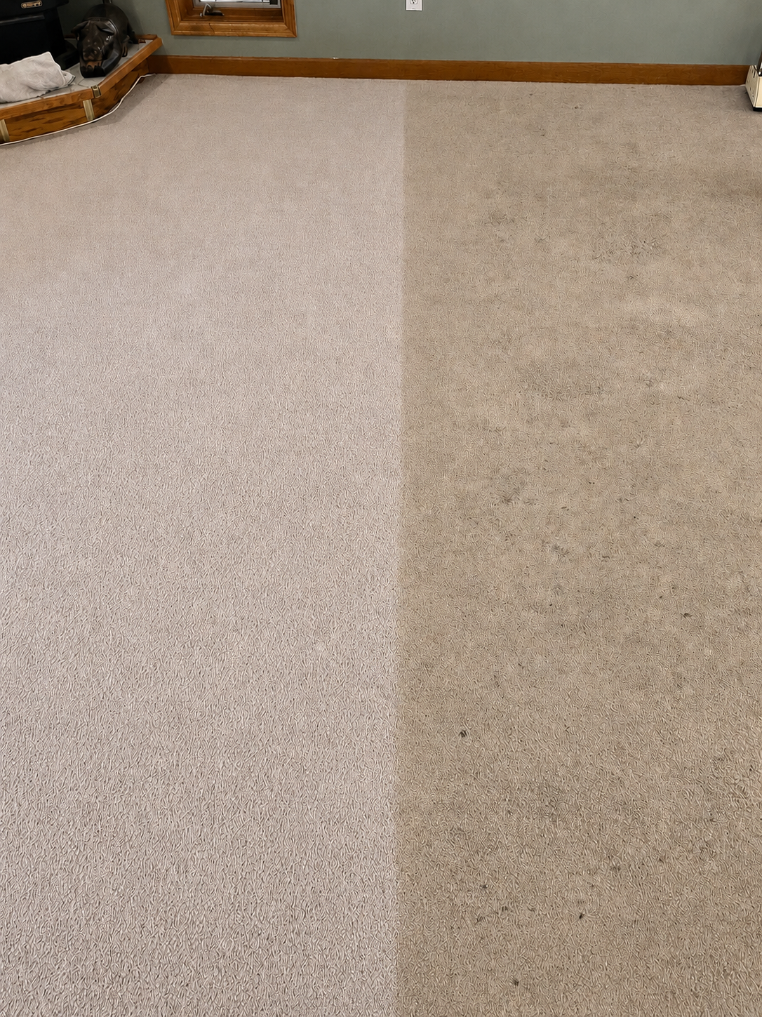 Before and after — In-Progress Carpet Cleaning